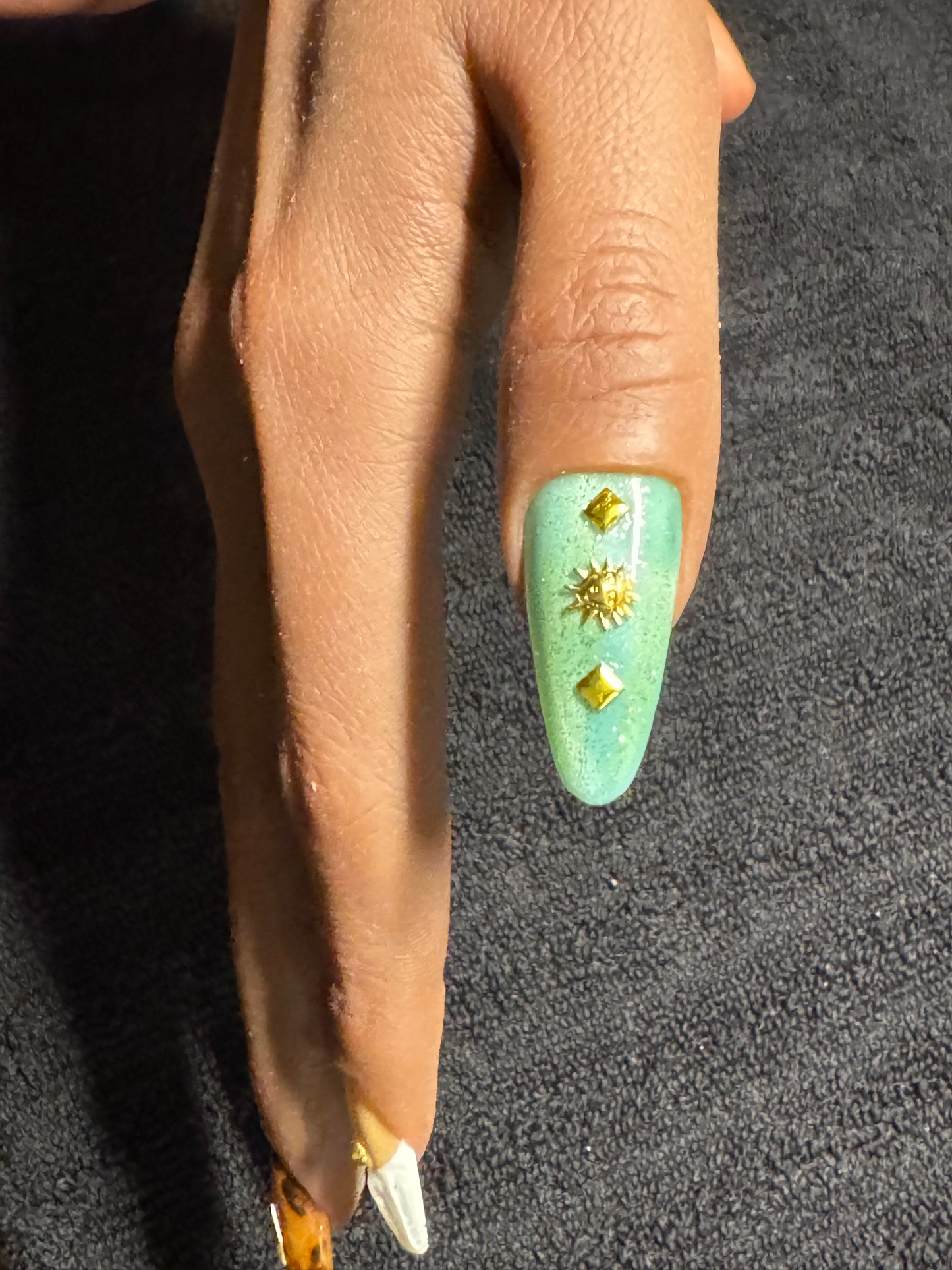 Golden Wild Press-On Set